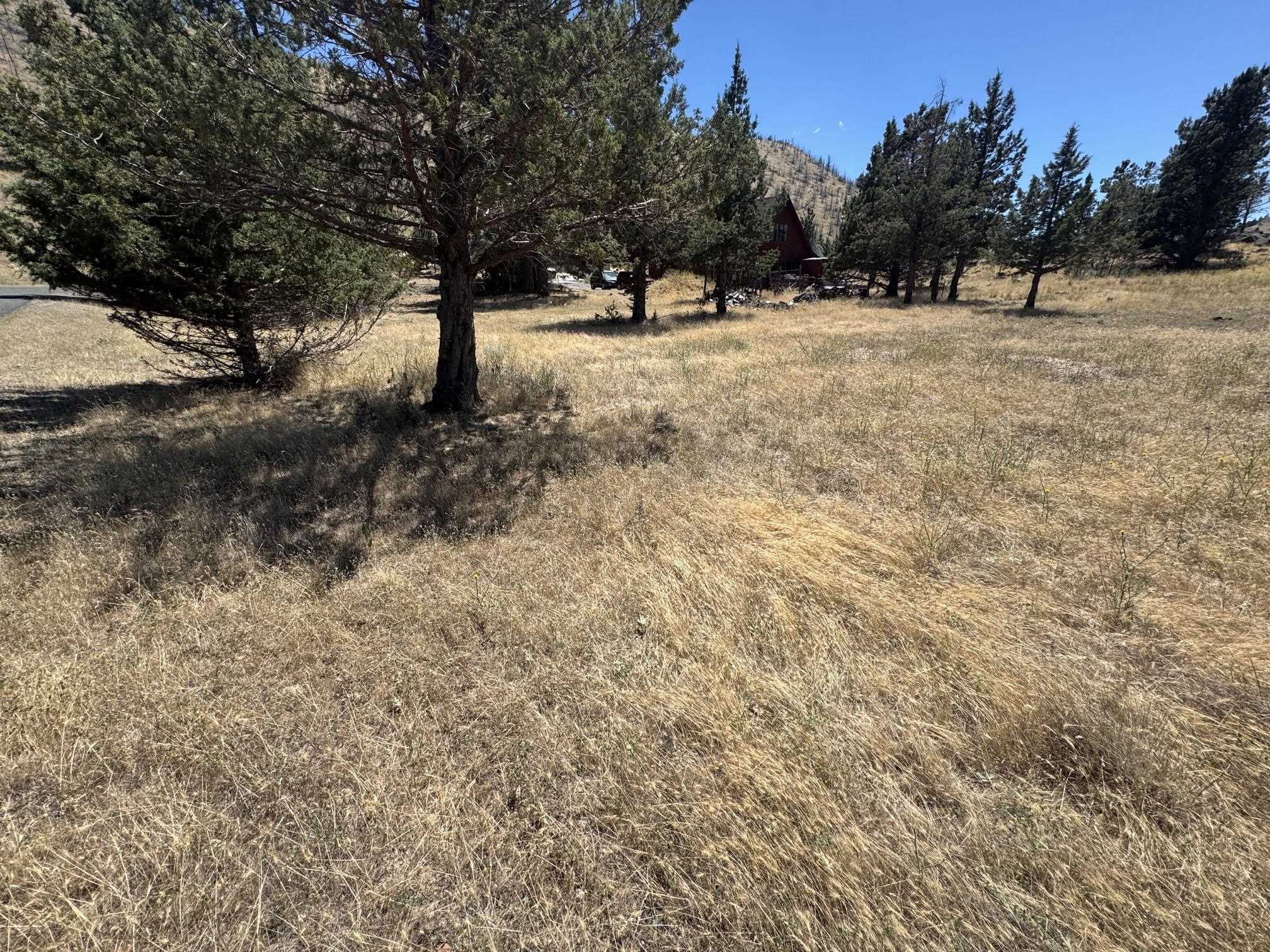 Land in Weed 3