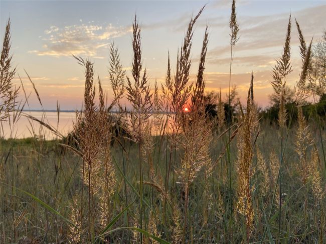 Enjoy natural beauty | Image 7