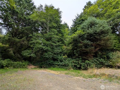 0 LOT 14 Lamontay Pl, Ilwaco, WA, 98624 | Card Image