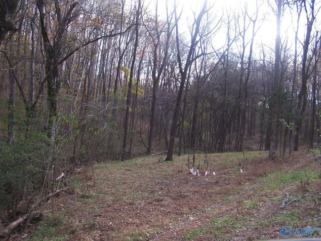 2176 Columbia Hwy, Home with 0 bedrooms, 0 bathrooms and null parking in Pulaski TN | Image 13
