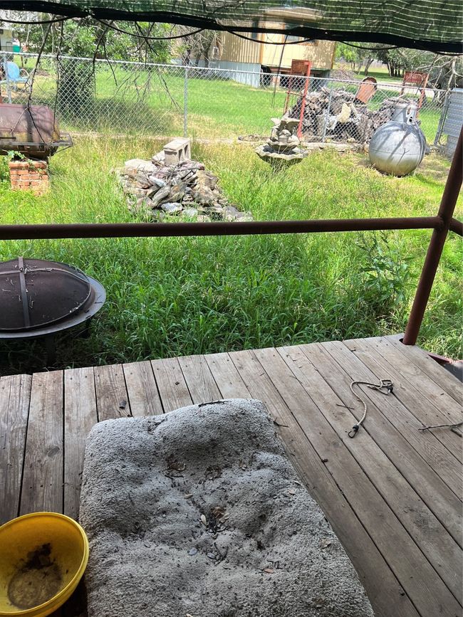View of back yard featuring a deck | Image 34