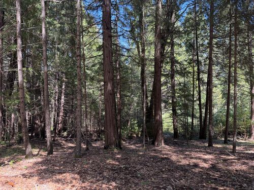 17889 Lightfoot Way, Nevada City, CA, 95959 | Card Image