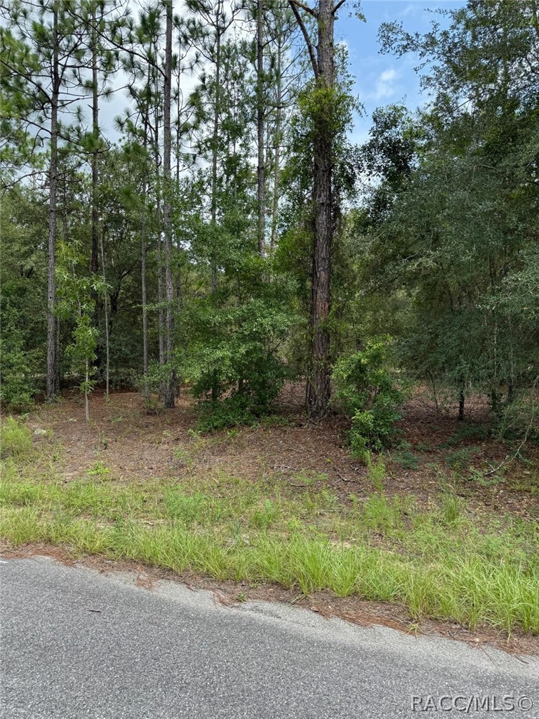 Land in Citrus Springs 5