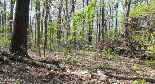000 62 S Plainview Road, Anderson, MO, 64831 | Card Image
