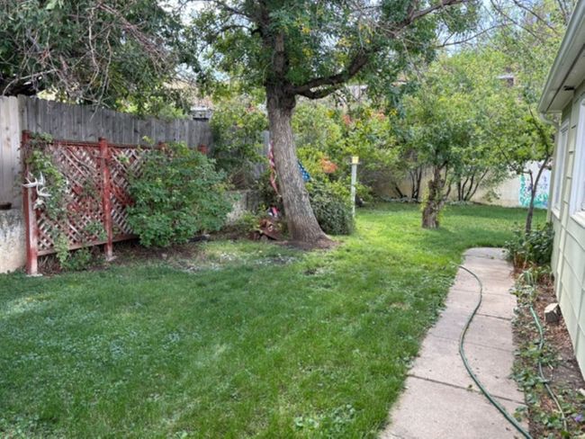 View of yard | Image 7