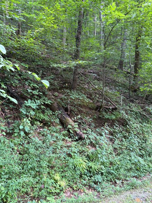 0 Feld Wynde Close Way, Sevierville, TN, 37862 | Card Image