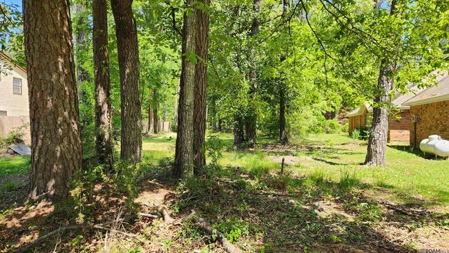 31531 River Pines Dr, Home with 0 bedrooms, 0 bathrooms and null parking in Springfield LA | Image 14