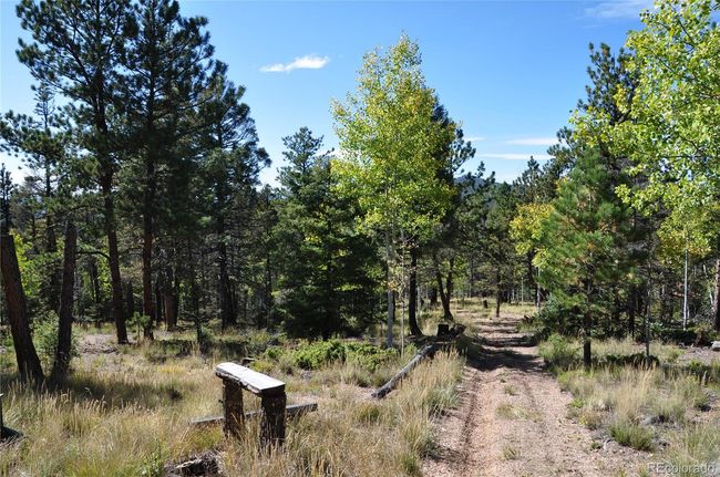 1299 Rangeview Rd, Home with 0 bedrooms, 0 bathrooms and null parking in Divide CO | Image 11