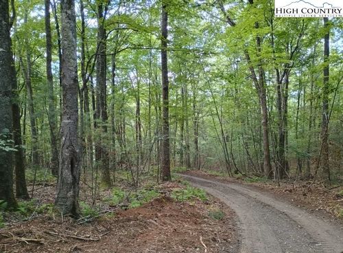 TBD Elk Knob Rd, Laurel Springs, NC, 28644 | Card Image