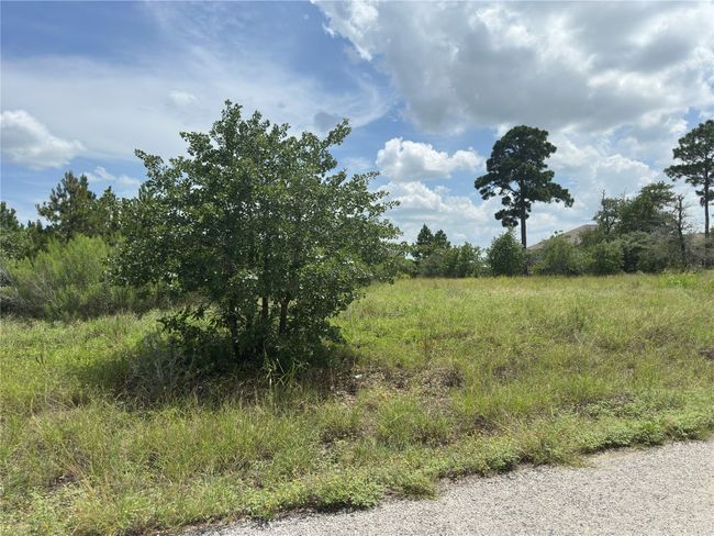 View of lot | Image 6
