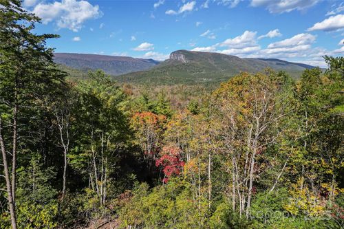 1963 Parks Dr, Nebo, NC, 28761-9666 | Card Image