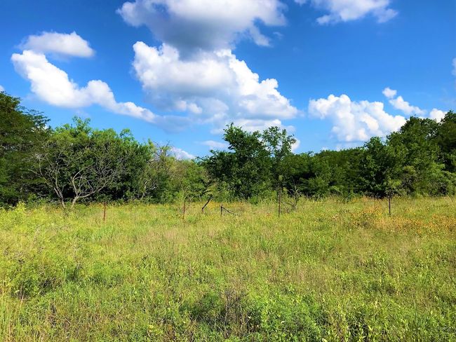 182 Hcr 3352, Home with 0 bedrooms, 0 bathrooms and null parking in Hubbard TX | Image 32