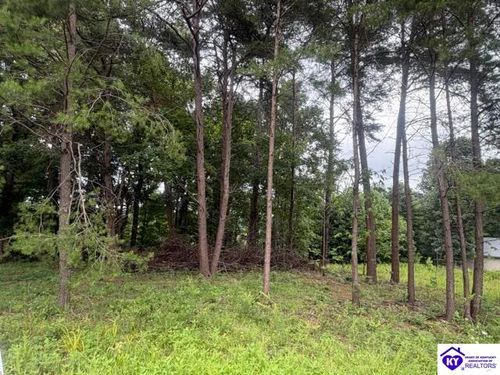 0 Paulette Way Ln, Falls Of Rough, KY, 40119 | Card Image