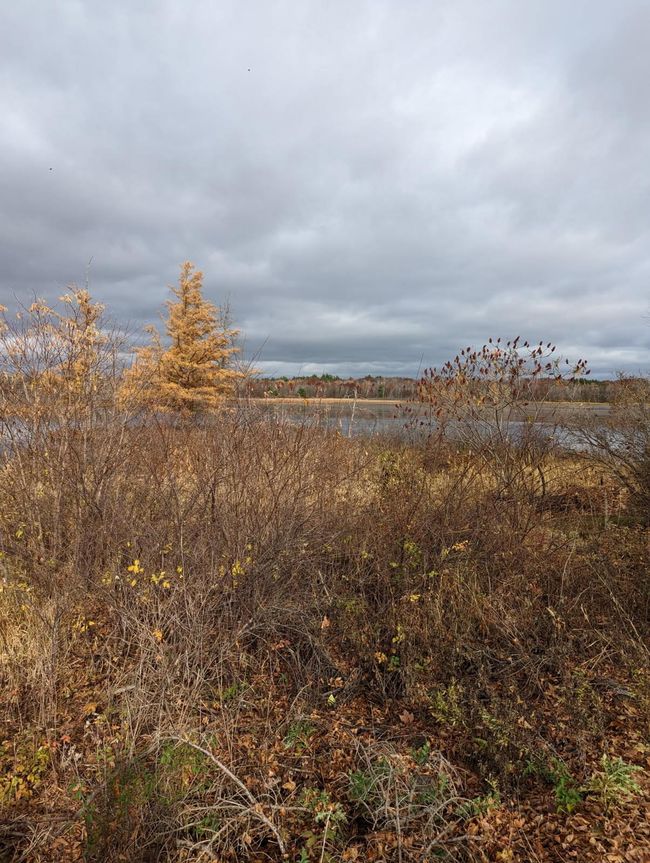 fall photo | Image 38