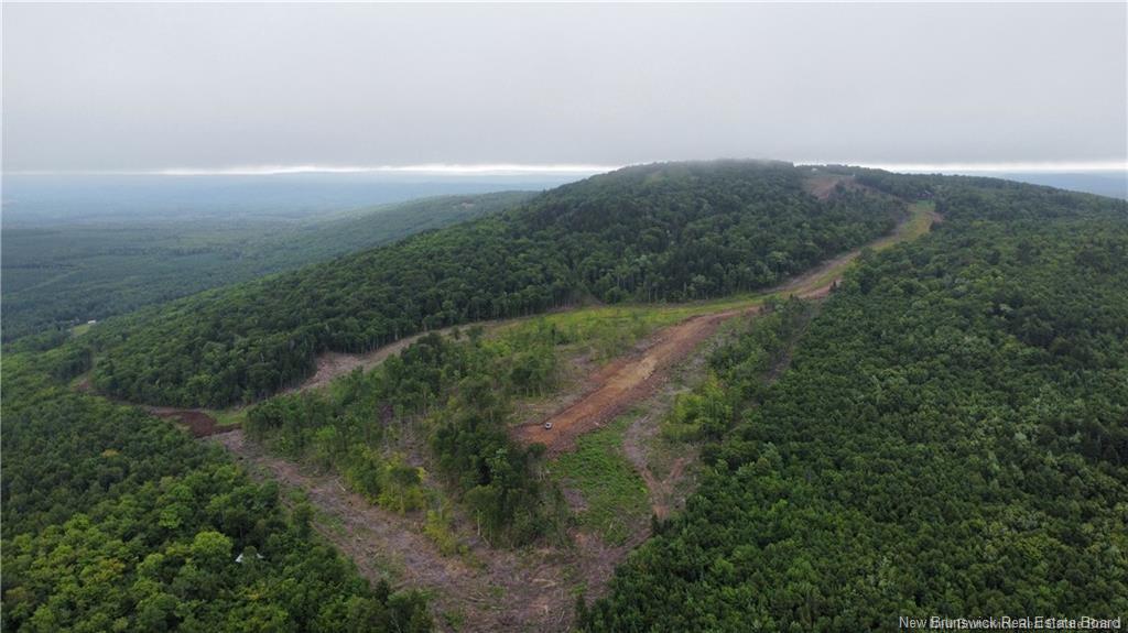 Land in Central Hainesville