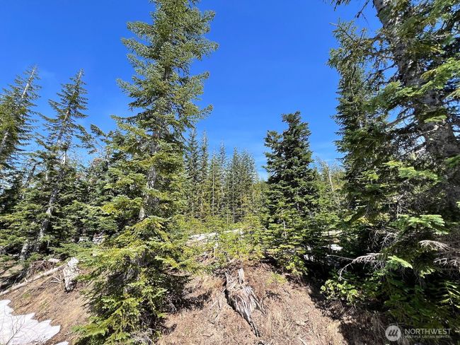 0 xxxx Spirit Lake Hwy, Home with 0 bedrooms, 0 bathrooms and null parking in Stevenson WA | Image 27