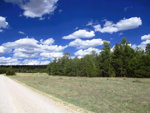 Lot 5 Copperweed Road, Ramah, NM, 87321 | Card Image