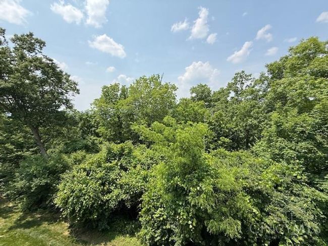 5620 Windridge Vw, Condo with 4 bedrooms, 4 bathrooms and null parking in Columbia Twp OH | Image 48