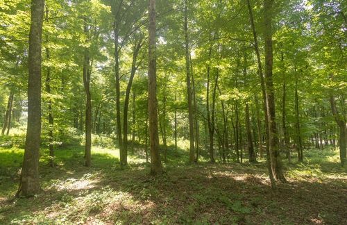 123 County Road 5, Calhoun, TN, 37309-5012 | Card Image