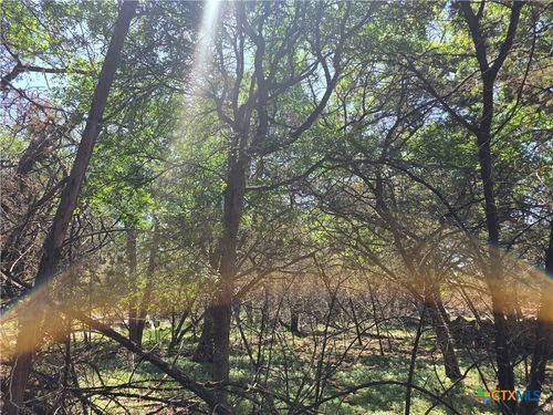 1548 Winding Creek Trl, Spring Branch, TX, 78070-5427 | Card Image