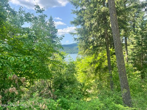 00NKA Lakeview Dr., Harrison, ID, 83833 | Card Image