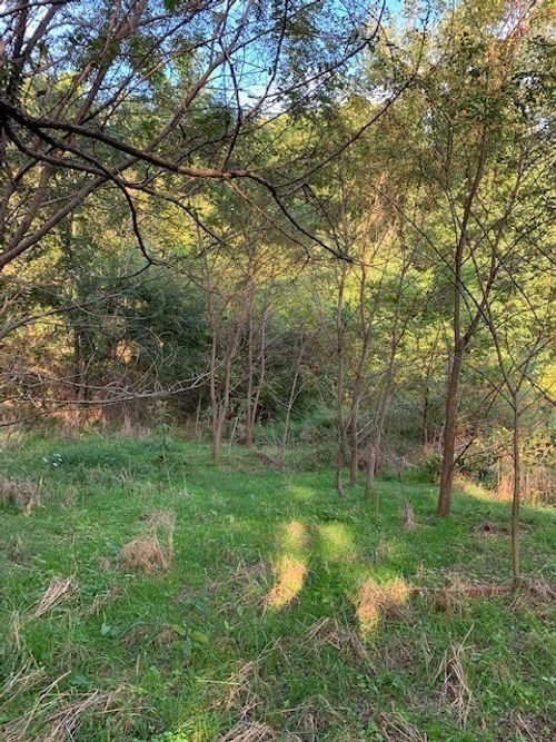 340 Cortner Hollow Rd, Petersburg, TN, 37144-8507 | Card Image