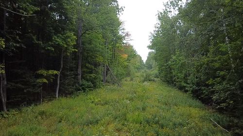 120 acre Birch Rd, Crandon, WI, 54520 | Card Image