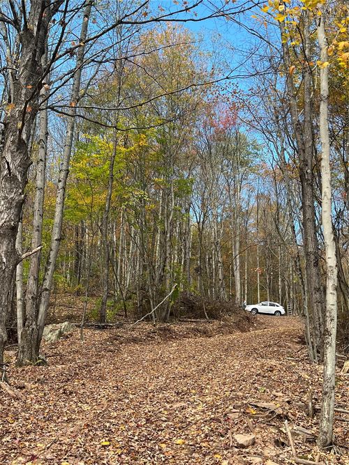 00 Debruce Rd, Livingston Manor, NY, 12758 | Card Image