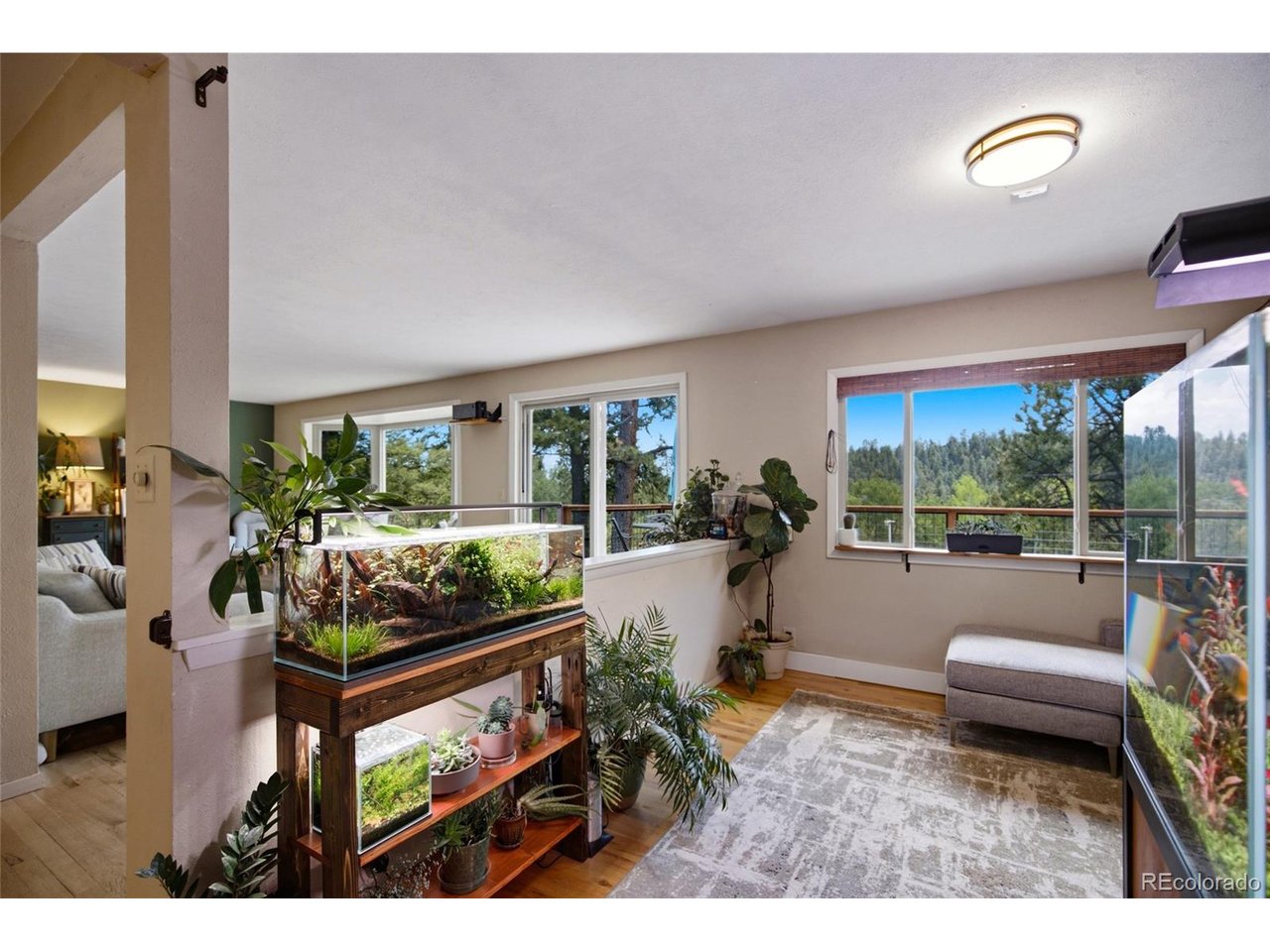 Residential in Conifer 5