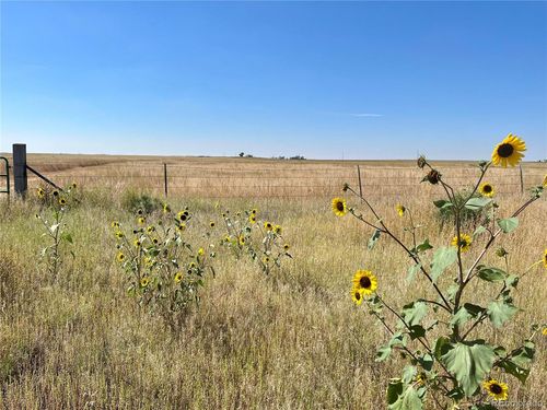 46850 County Road 46, Limon, CO, 80828-8833 | Card Image