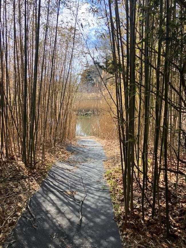 Water view | Image 26