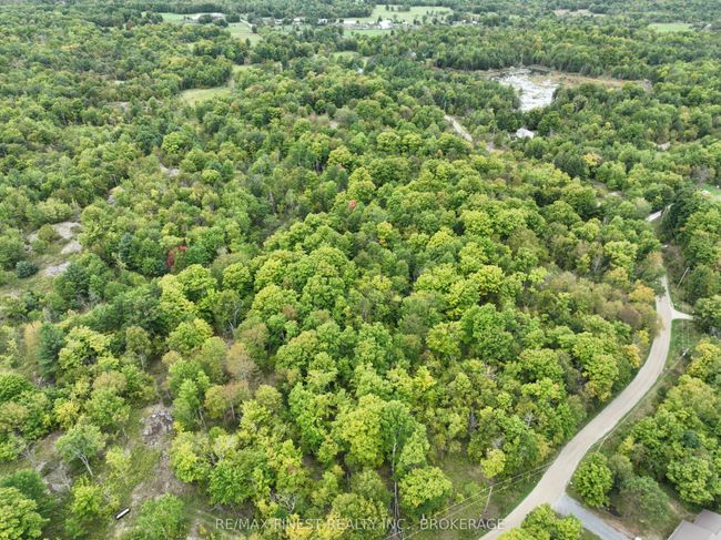 1147 Cronk Rd, Home with 0 bedrooms, 0 bathrooms and 4 parking in Parham ON | Image 24