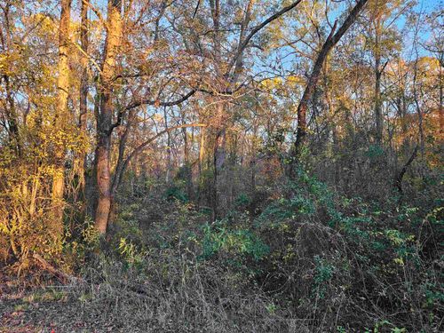 TBD County Road 4108, Lindale, TX, 75771 | Card Image