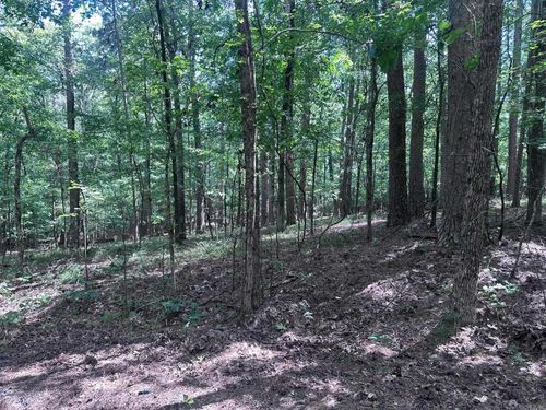 7 Novato Ln, Hot Springs Village, AR, 71909 | Card Image