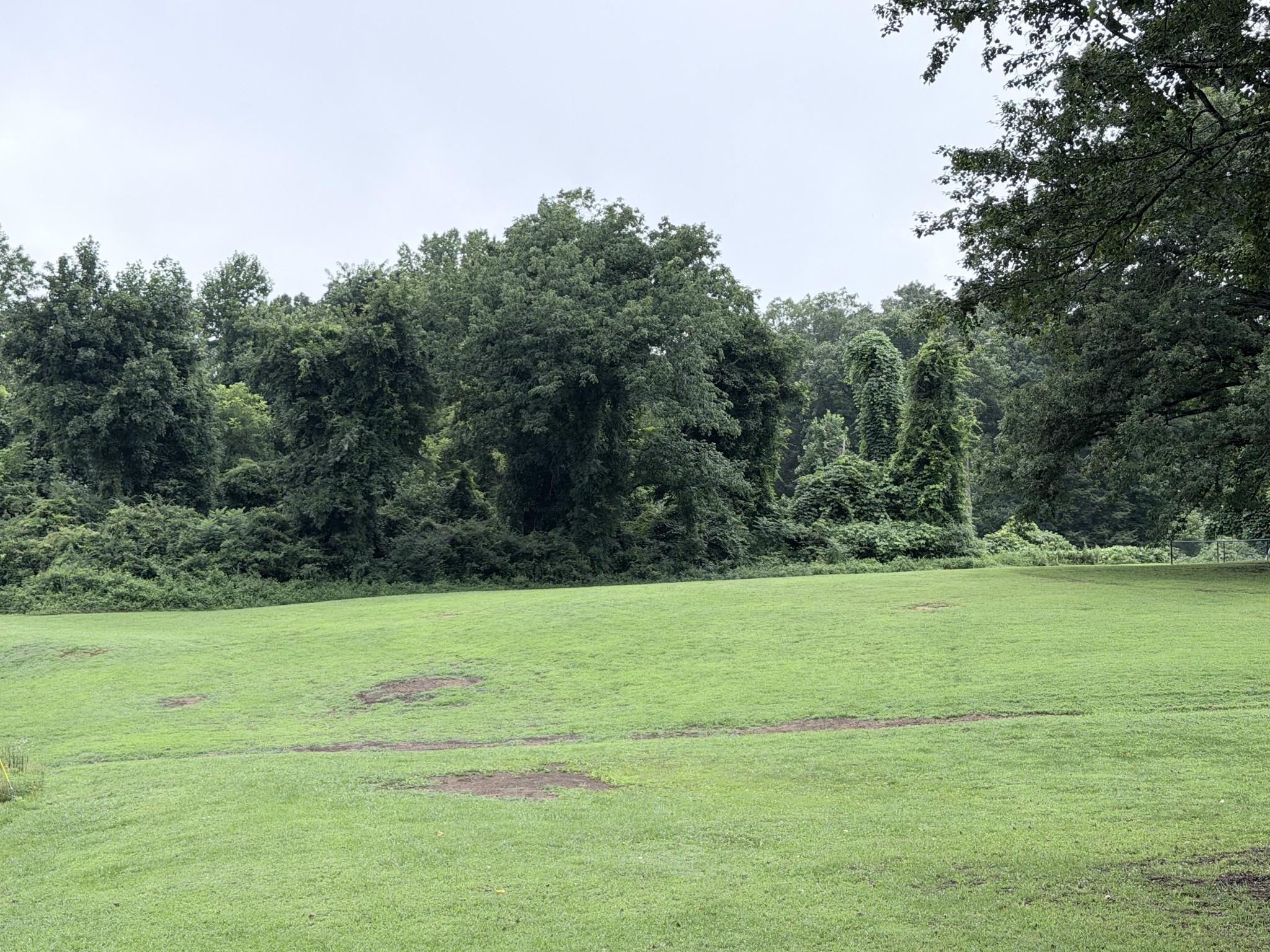 Land in Monteagle 3