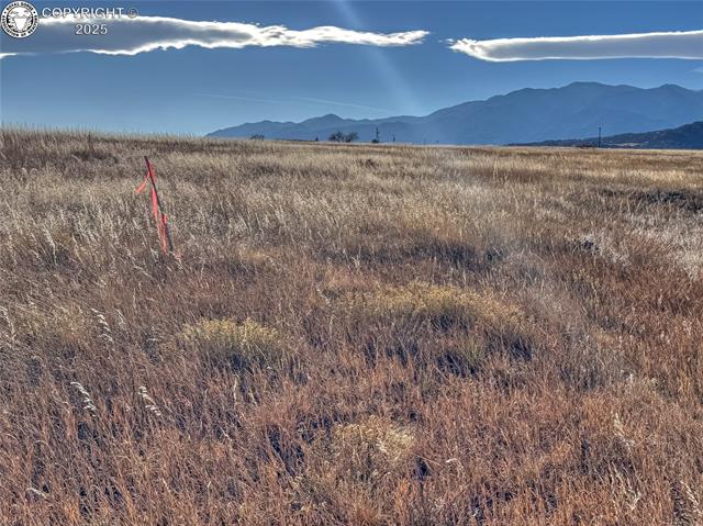 Land in Colorado City 3