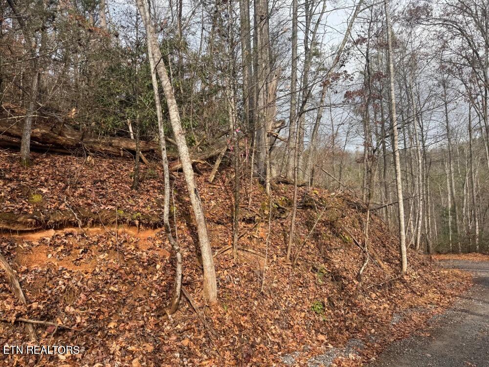 Land in Gatlinburg 3