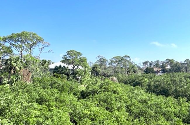 View of Homes to East | Image 13