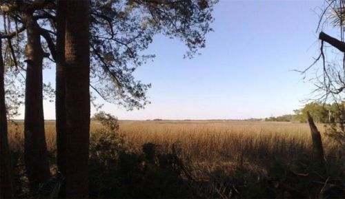 1742 Harrington Park Dr, JACKSONVILLE, FL, 32225-2685 | Card Image
