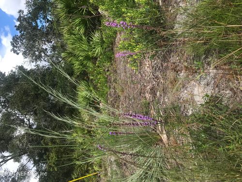 0 Summit Rd, Satsuma, FL, 32189 | Card Image