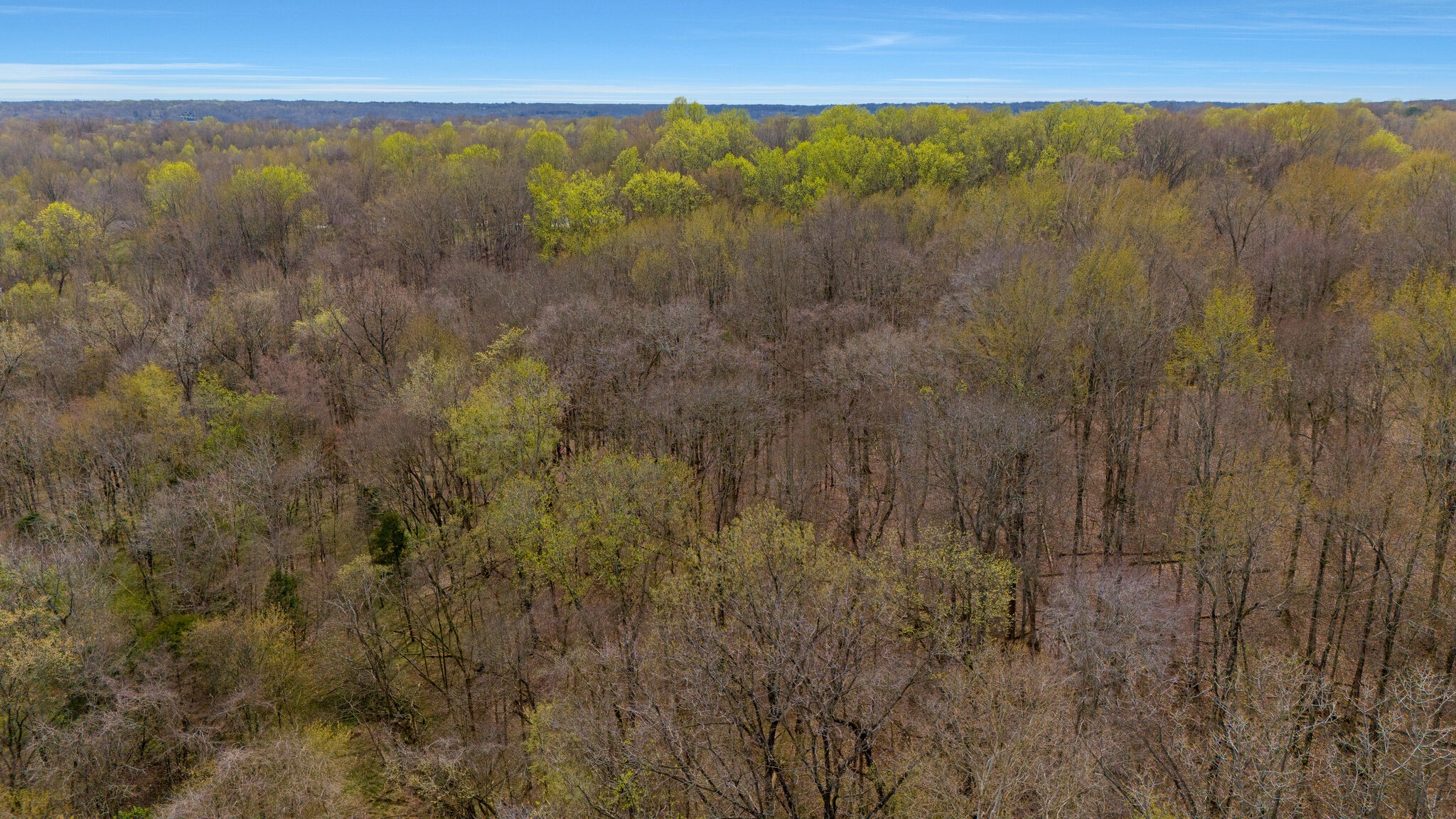 Land in Clarksville 3