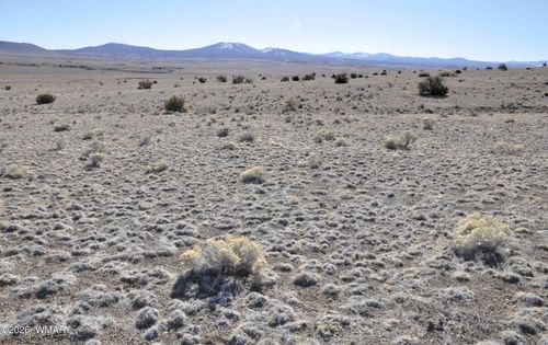 152 Cr 3371, Concho, AZ, 85924 | Card Image