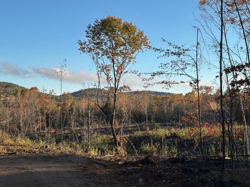 00 Thurley Rd, Center Ossipee, NH, 03814 | Card Image