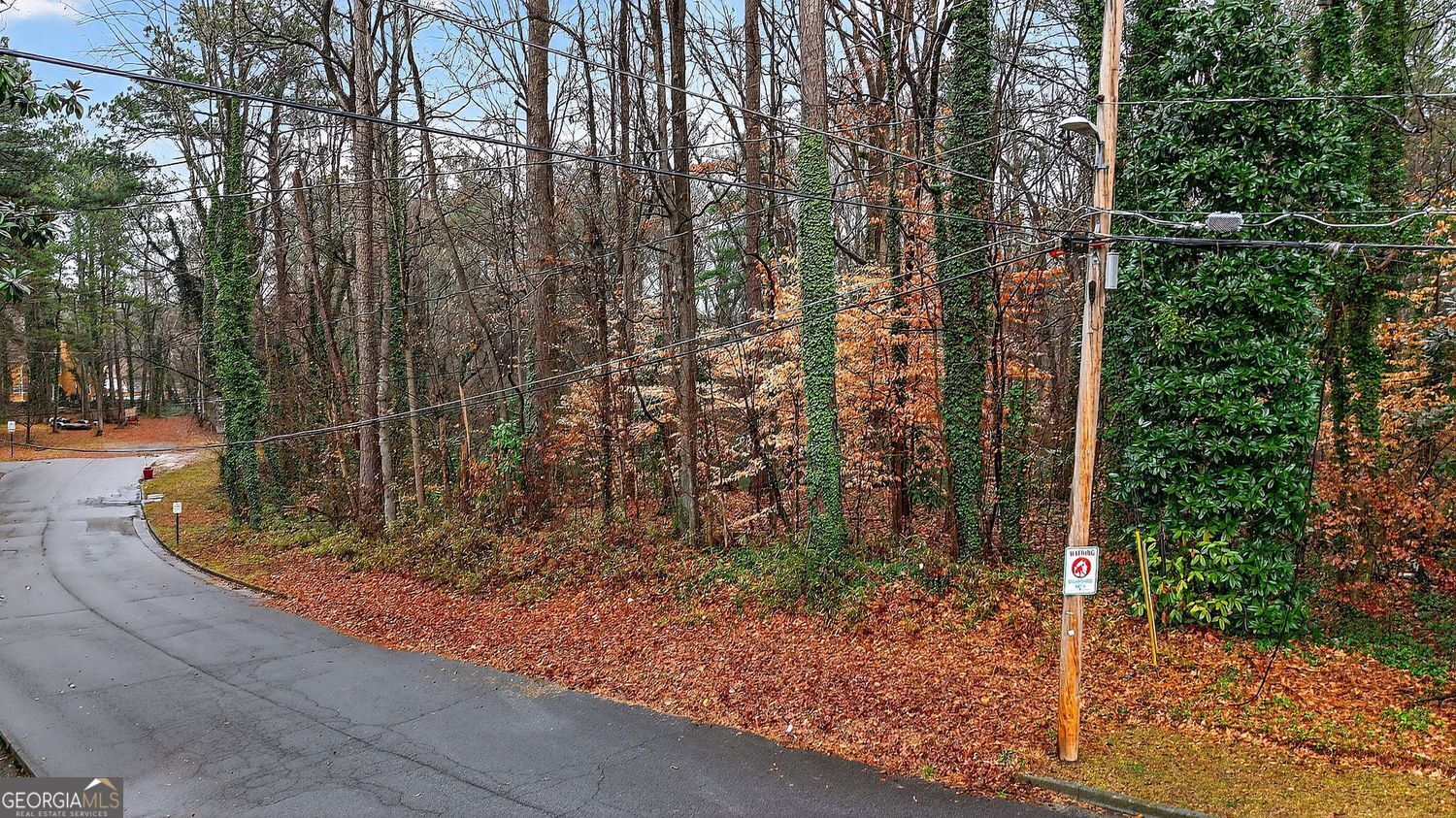 Land in Atlanta 2