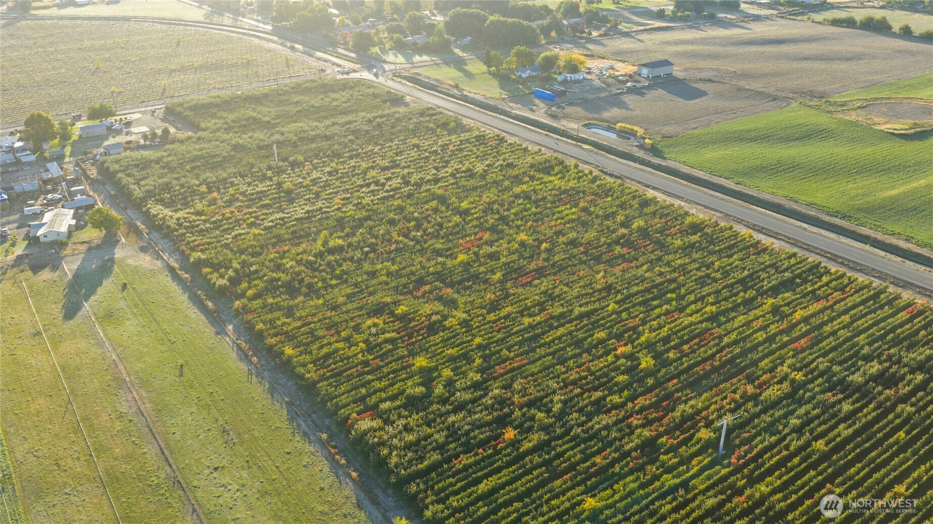 Farm in Grandview 3