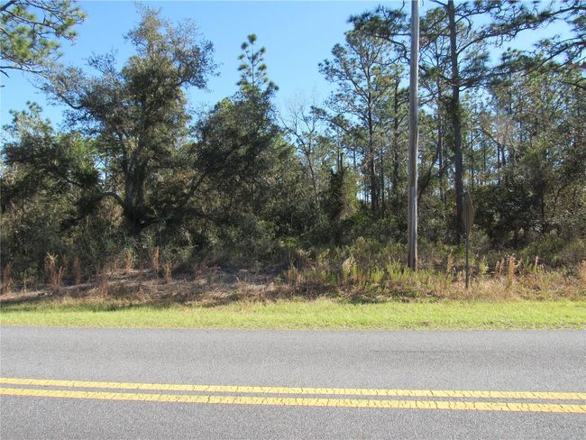 Your 1.03 Acre Future Home Site Is Only 25-30 Minutes To The New World Equestrian Center Located In Ocala, Florida! | Image 5