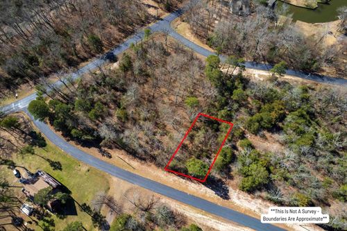 TBD Angelina St, Scroggins, TX, 75480 | Card Image