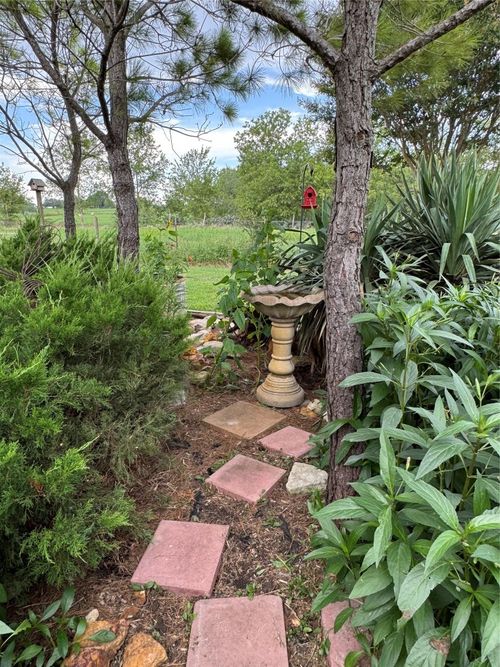 674 County Road 447, Waelder, TX, 78959-5153 | Card Image
