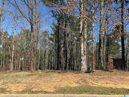 81-200 Oaklyn Hills Dr, CHELSEA, AL, 35043-6010 | Card Image