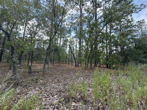 TBD Nw Tree Top Rd, DUNNELLON, FL, 34431 | Card Image